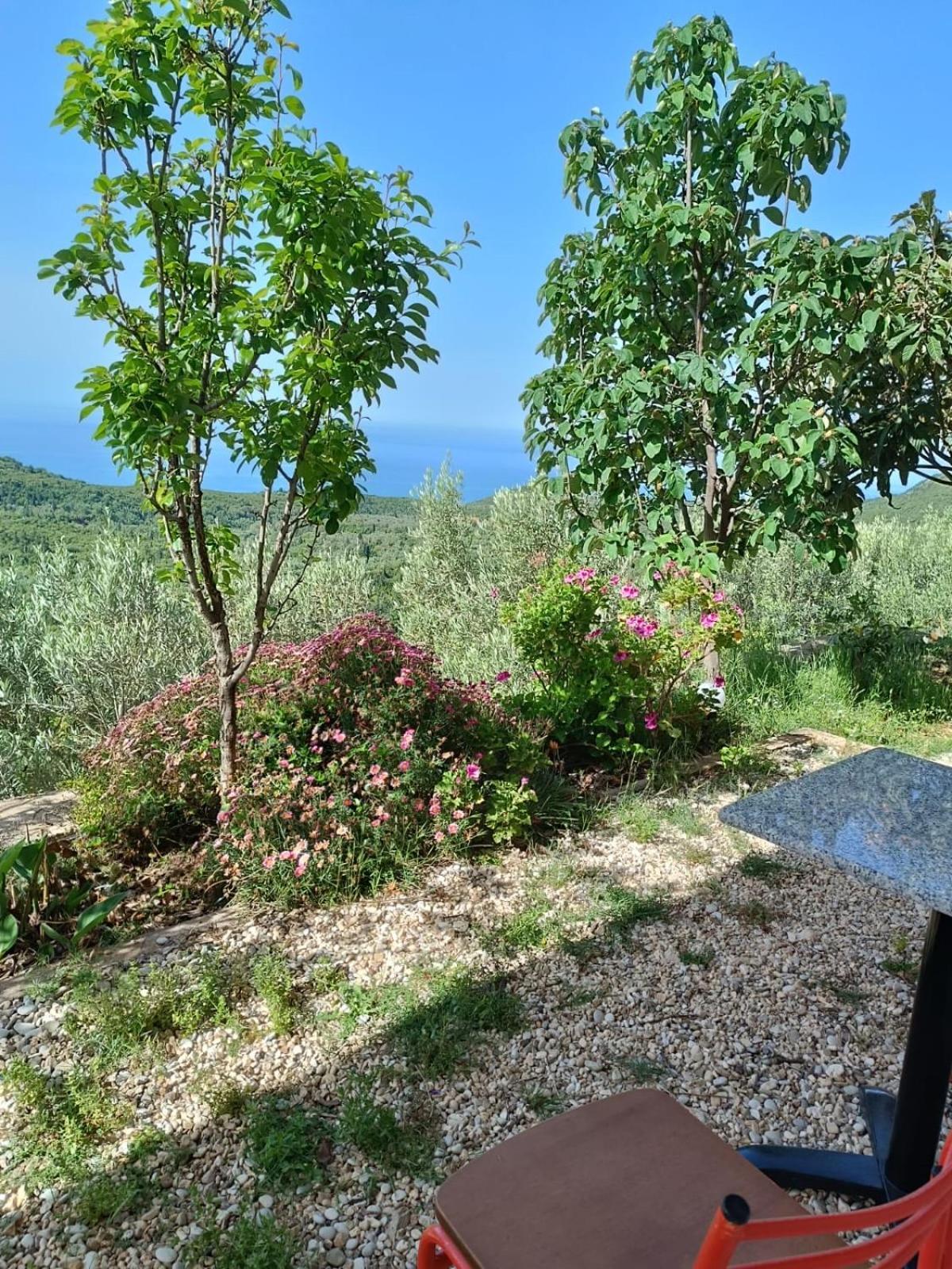 Vila Aleks Vuno 外观 照片